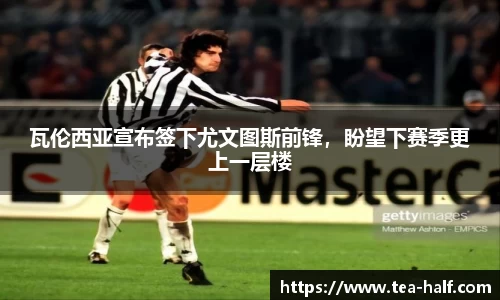 米乐M6官网