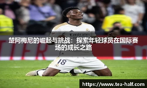 米乐M6官网