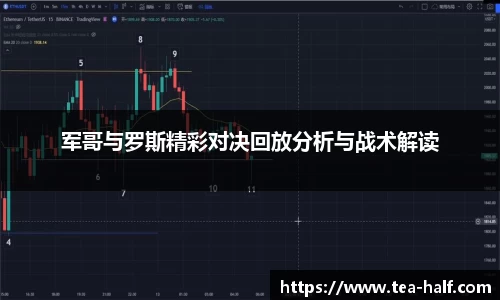 军哥与罗斯精彩对决回放分析与战术解读