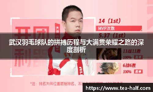 武汉羽毛球队的拼搏历程与大满贯荣耀之路的深度剖析