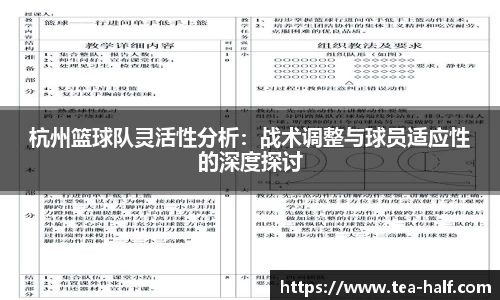 杭州篮球队灵活性分析：战术调整与球员适应性的深度探讨