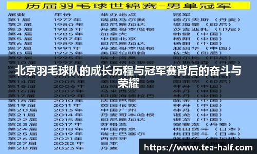 北京羽毛球队的成长历程与冠军赛背后的奋斗与荣耀