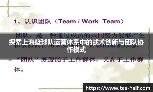 探索上海篮球队运营体系中的战术创新与团队协作模式