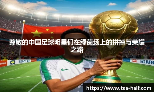 尊敬的中国足球明星们在绿茵场上的拼搏与荣耀之路